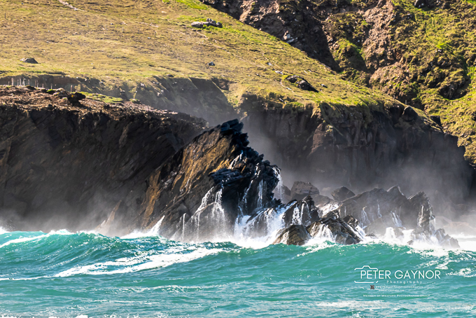 Waves in a rock -DSC_9693